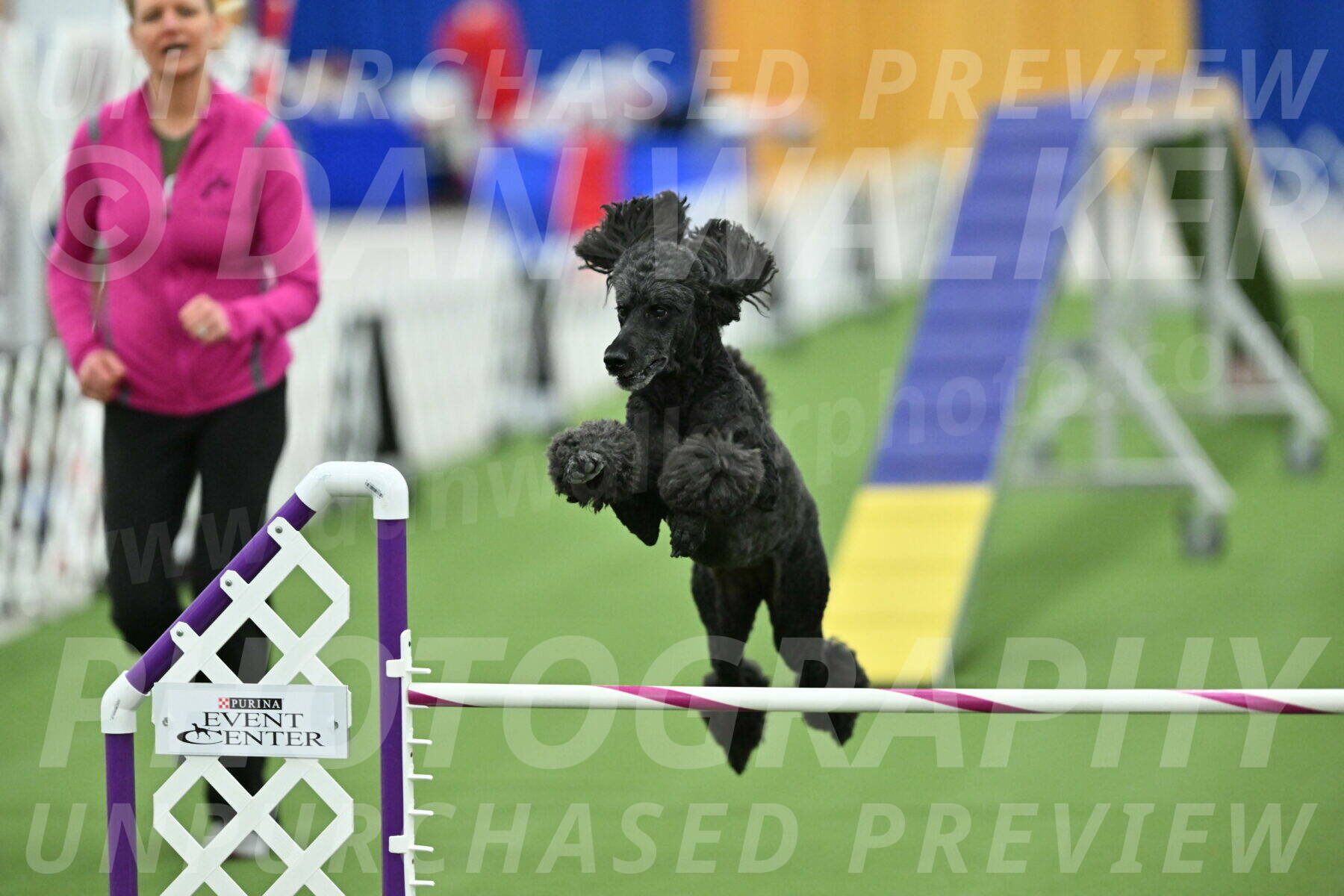 MAS-EX-STD-24-Inch_8056