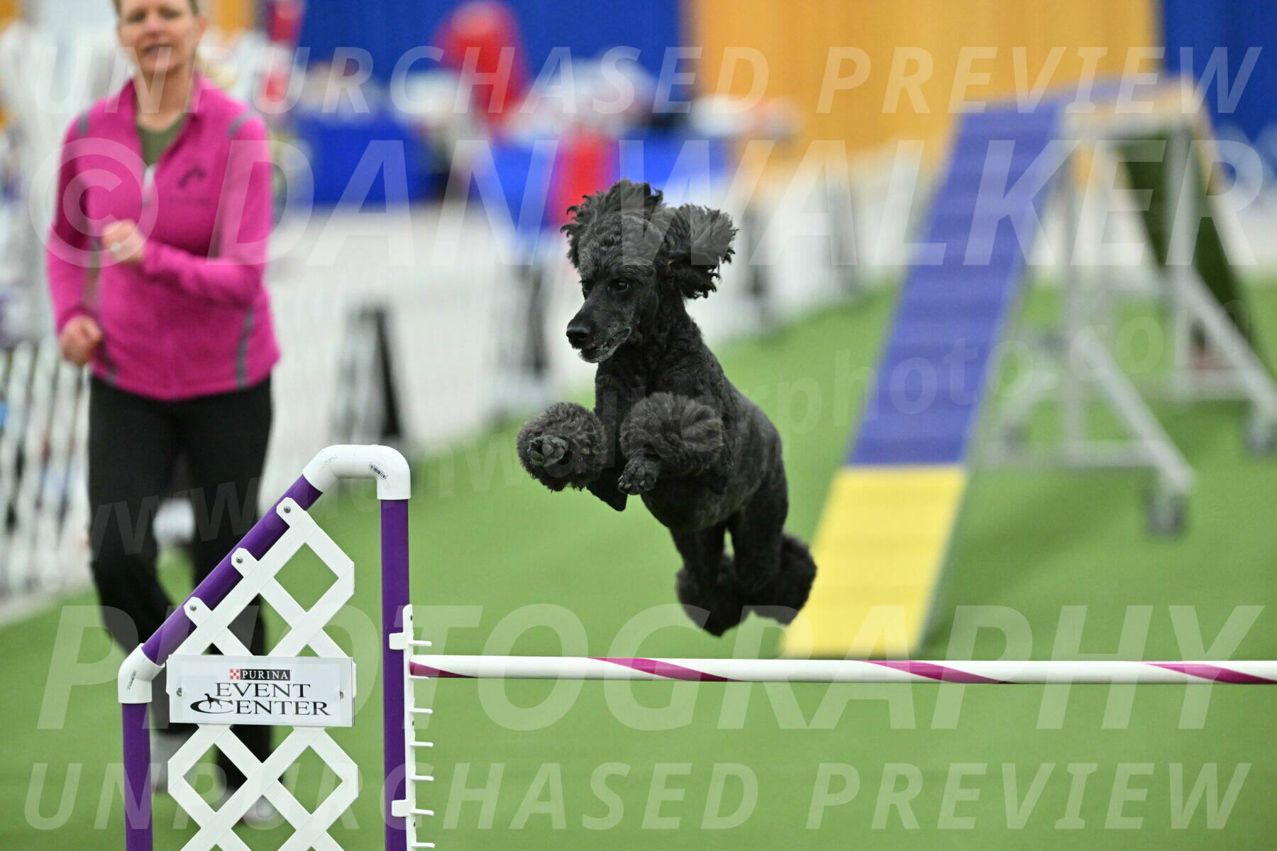 MAS-EX-STD-24-Inch_8057