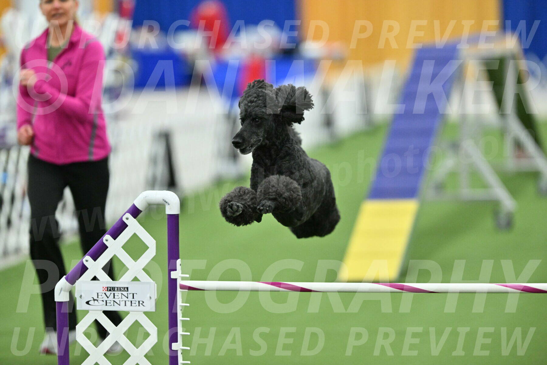 MAS-EX-STD-24-Inch_8058