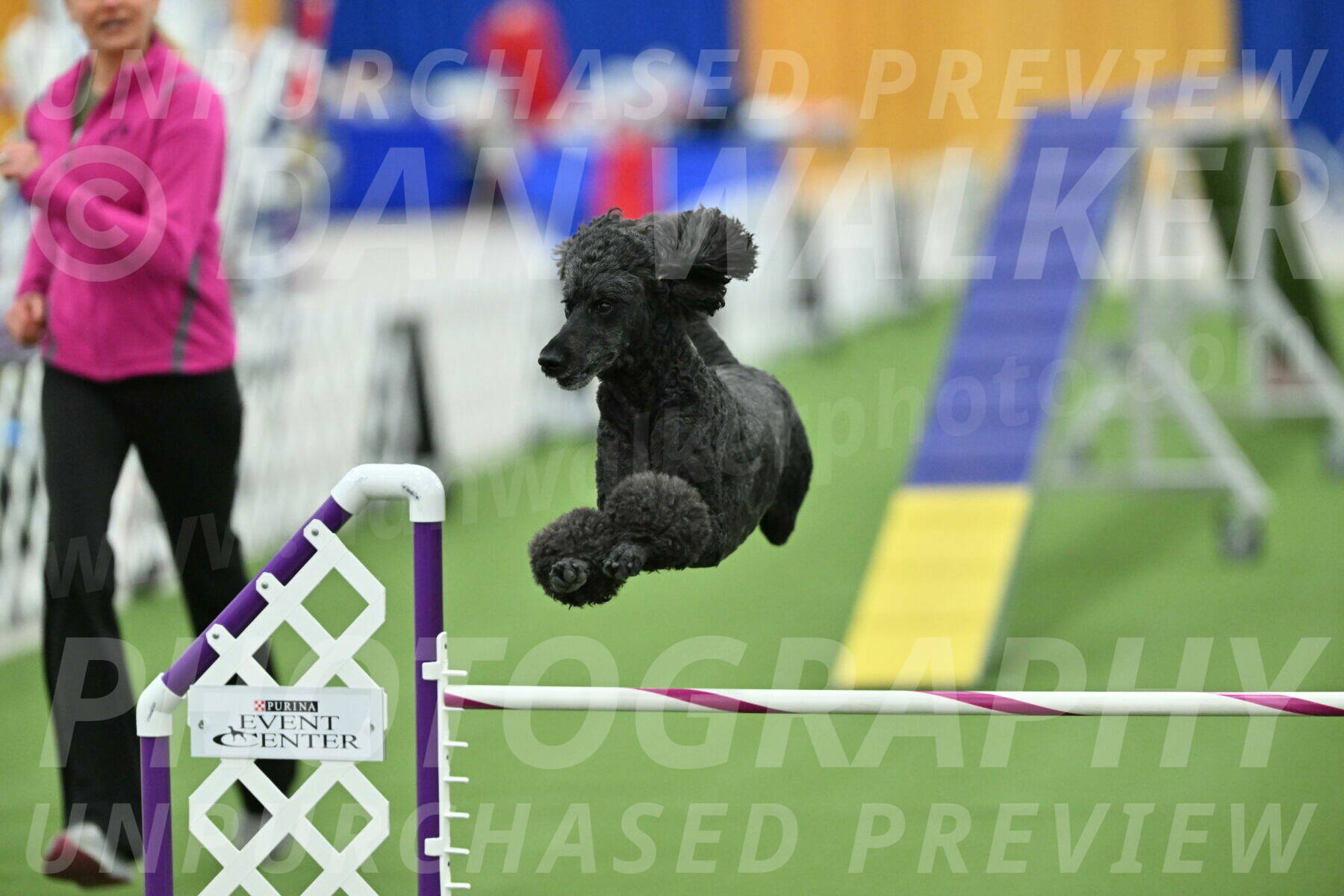 MAS-EX-STD-24-Inch_8059