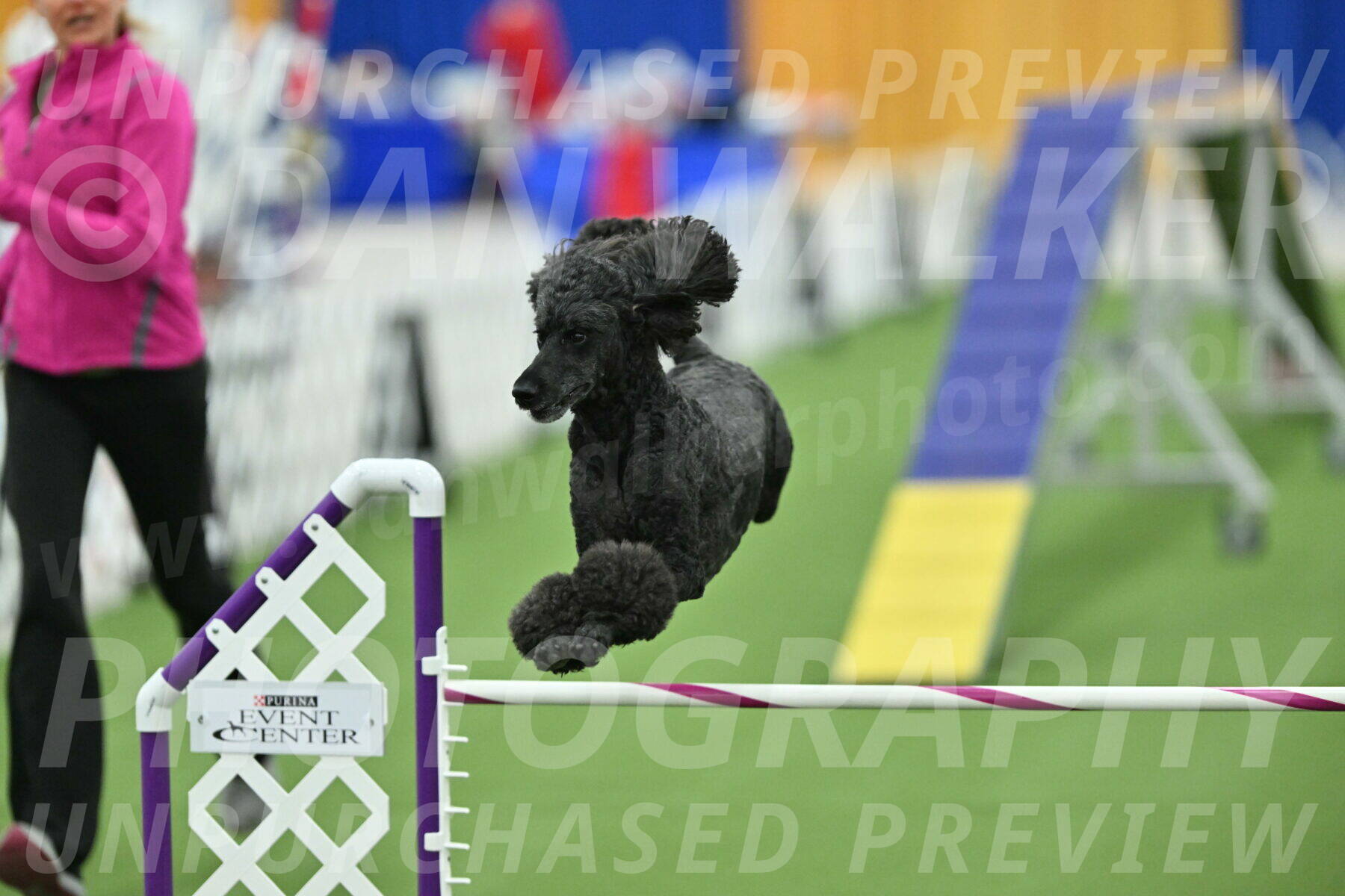 MAS-EX-STD-24-Inch_8060