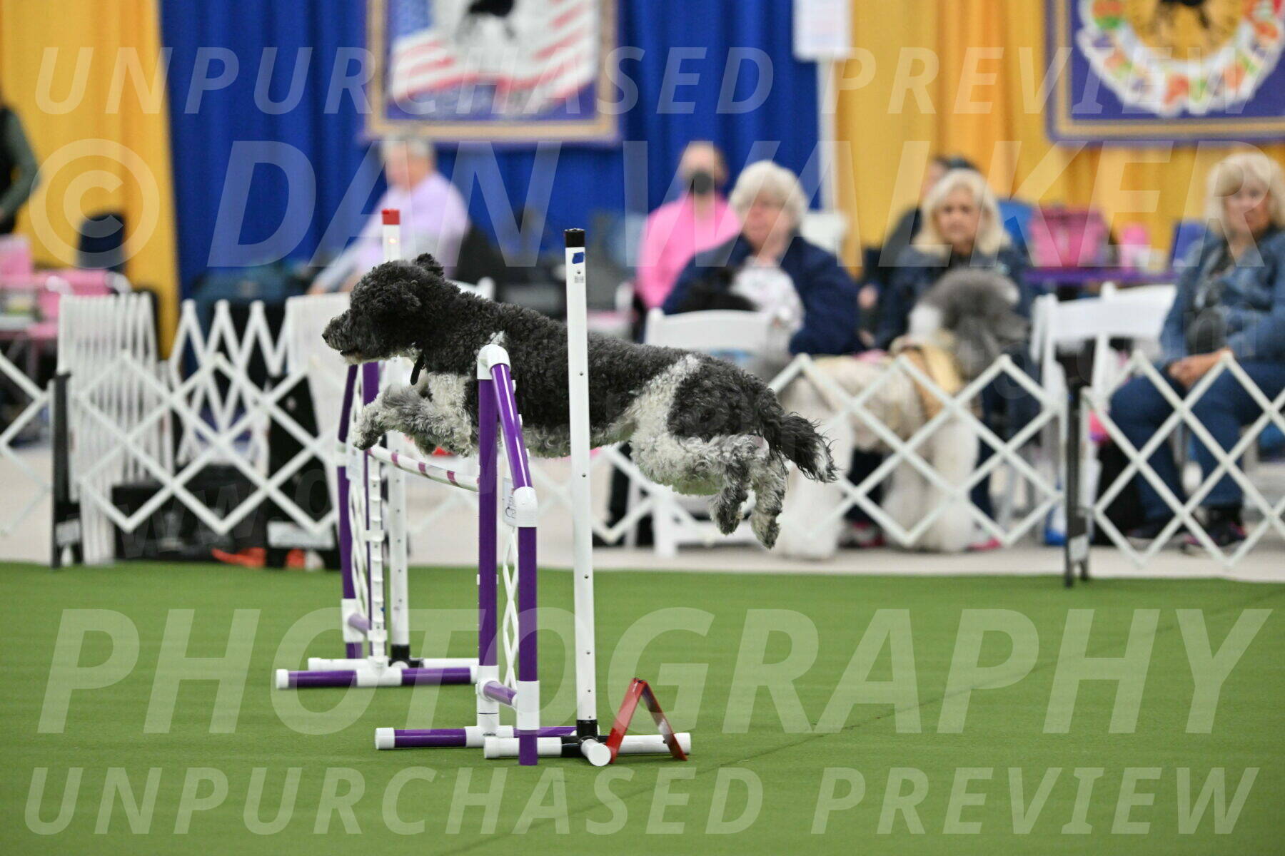 MAS-EX-STD-24-Inch_8064