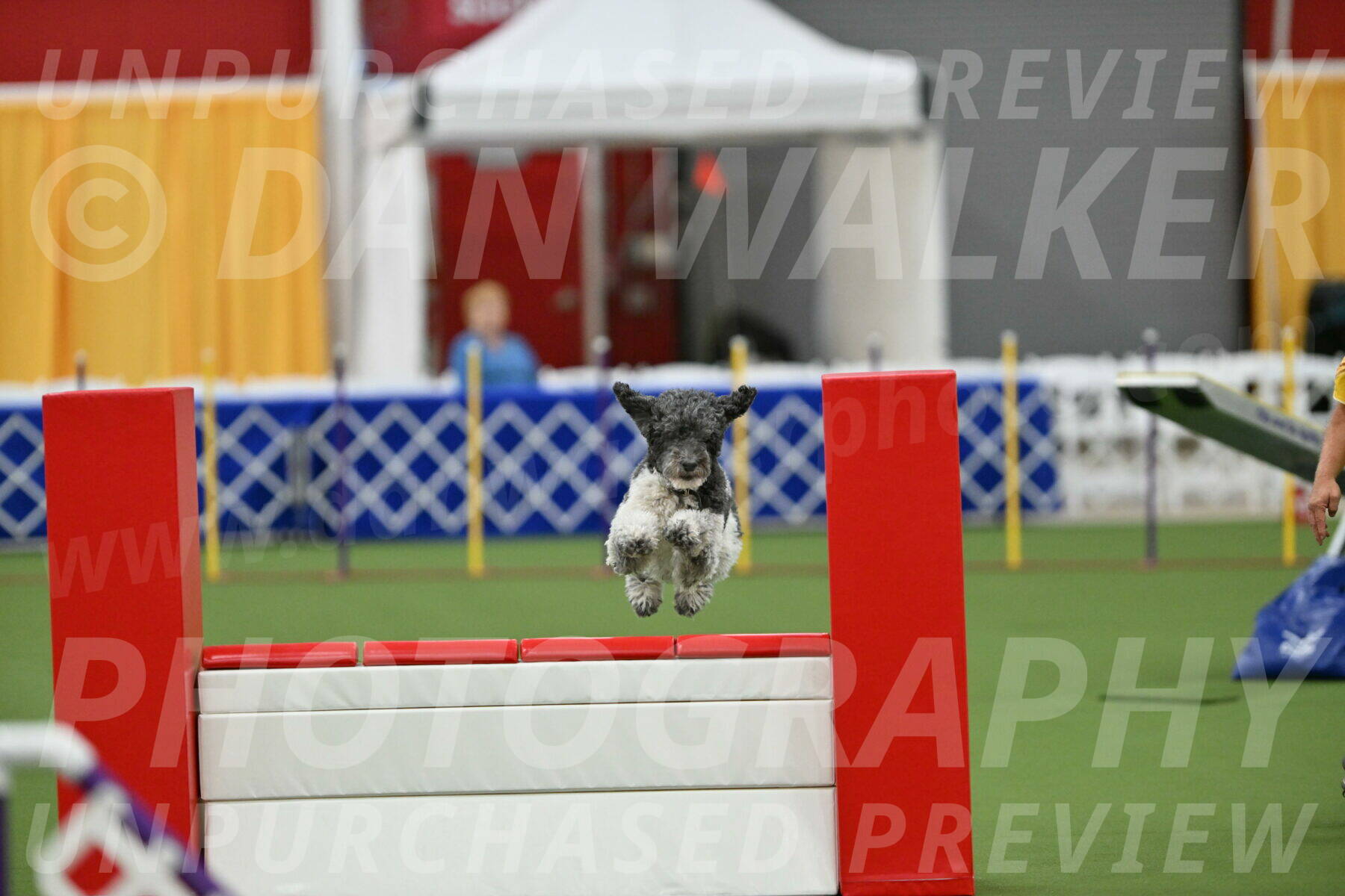 MAS-EX-STD-24-Inch_8084