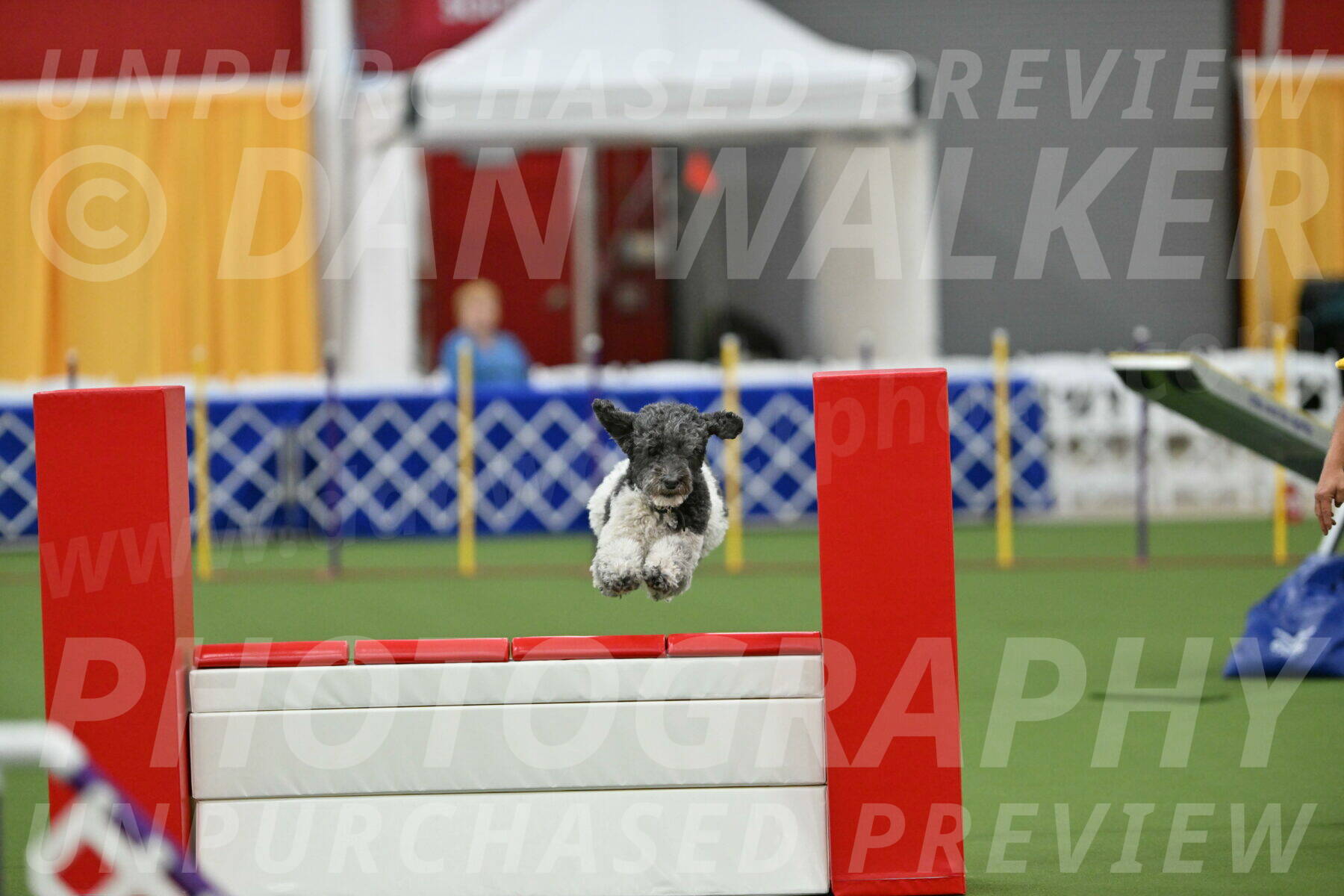 MAS-EX-STD-24-Inch_8085