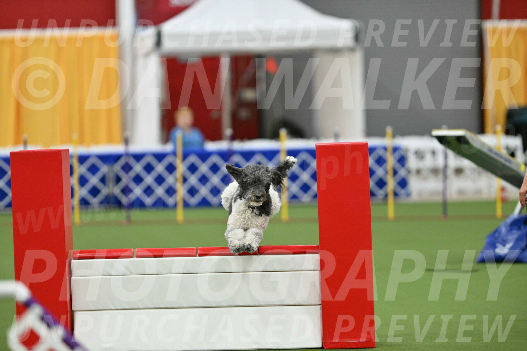 MAS-EX-STD-24-Inch_8086