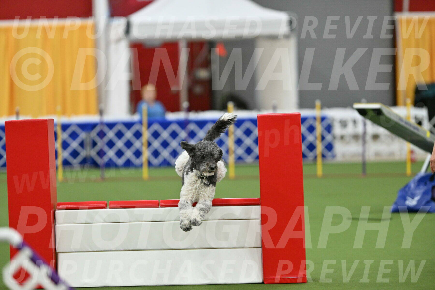 MAS-EX-STD-24-Inch_8087