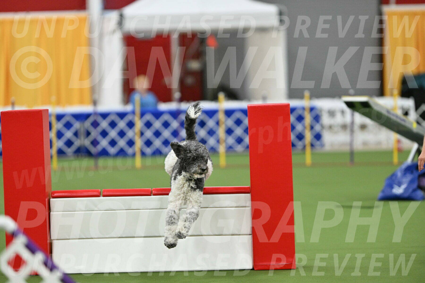 MAS-EX-STD-24-Inch_8088