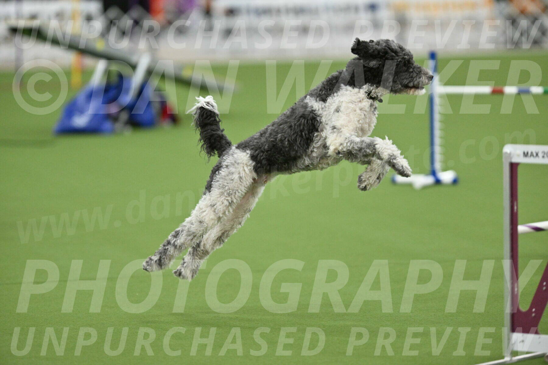 MAS-EX-STD-24-Inch_8090