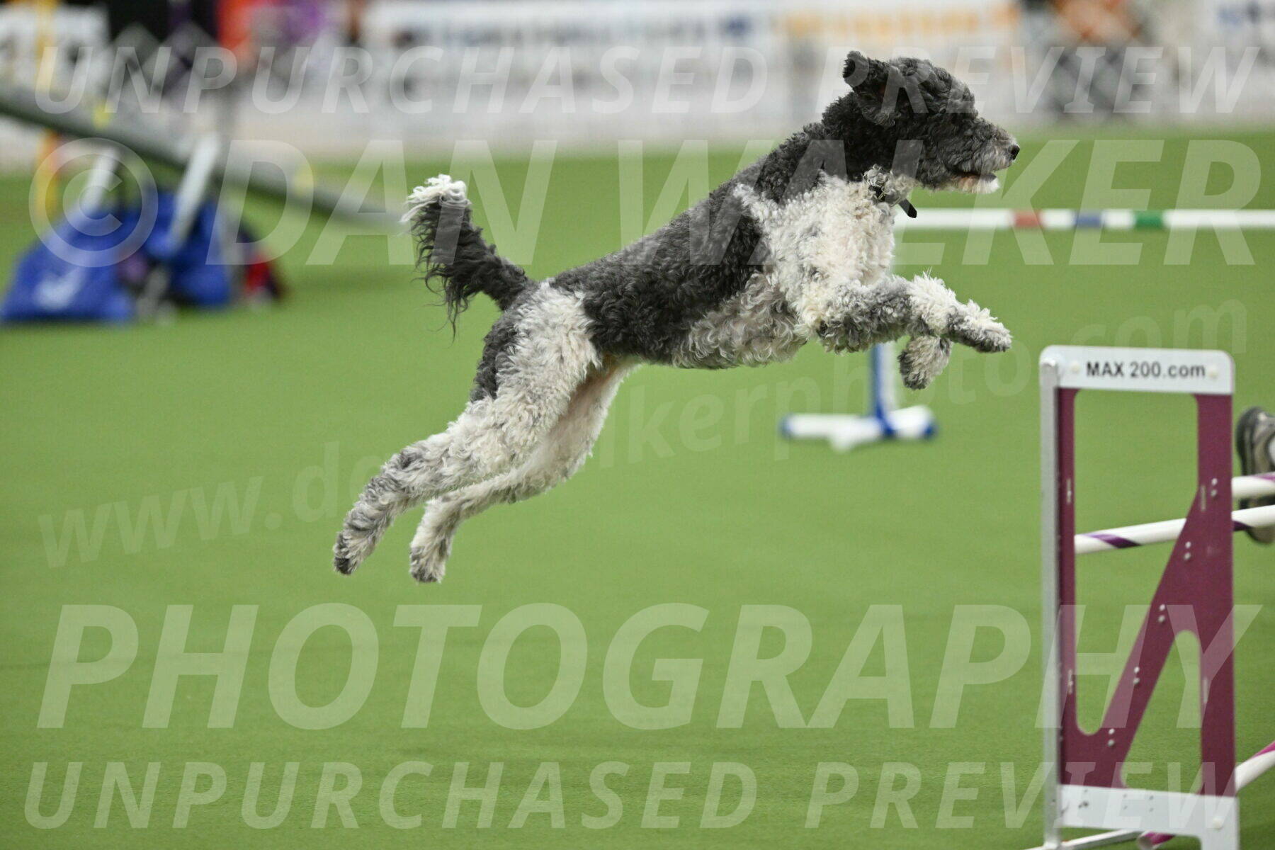 MAS-EX-STD-24-Inch_8091