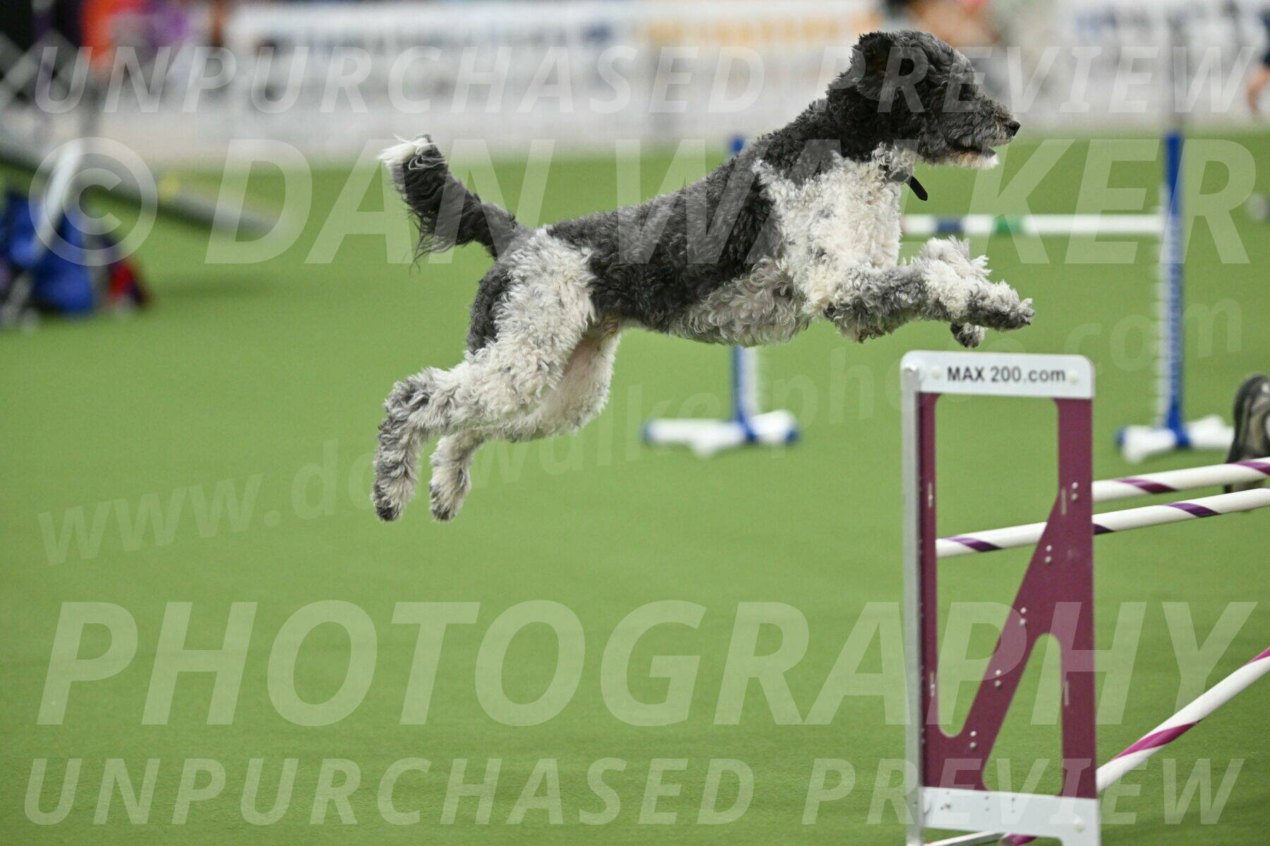 MAS-EX-STD-24-Inch_8092