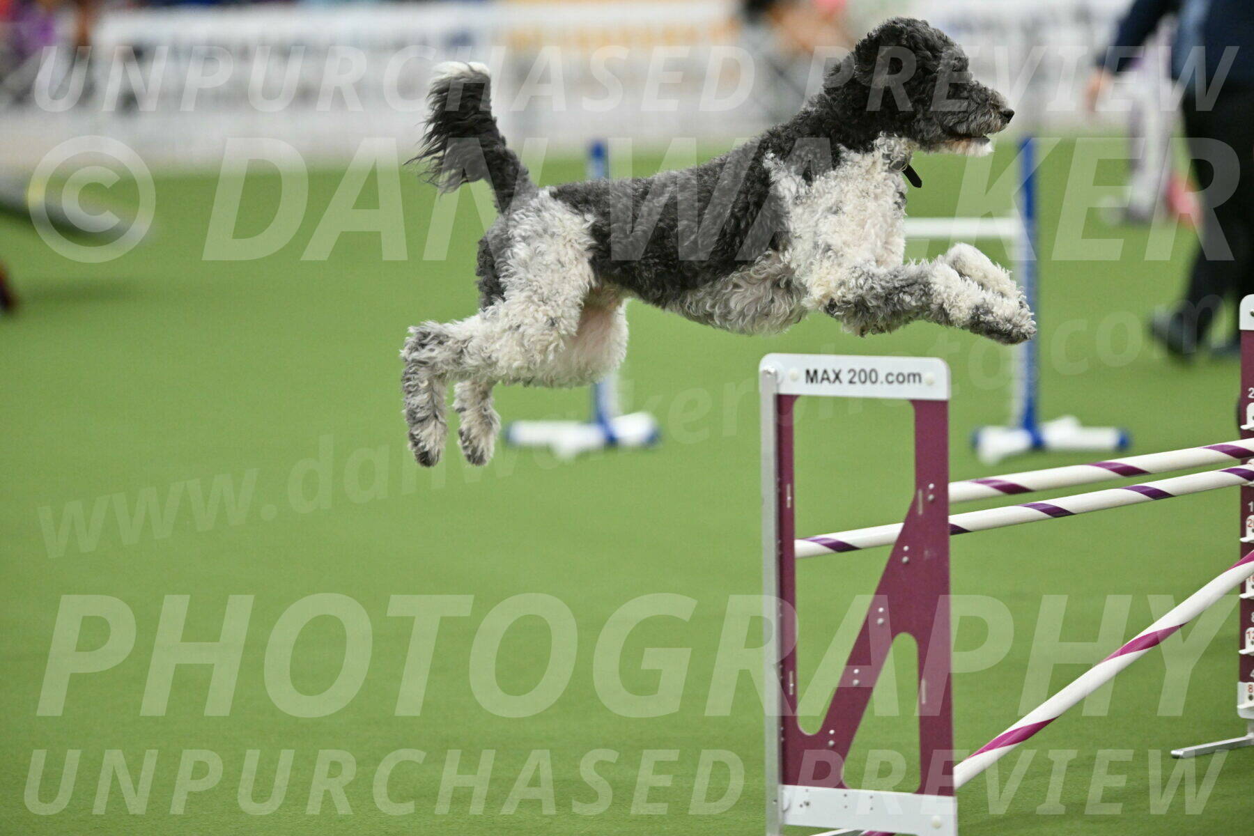 MAS-EX-STD-24-Inch_8093