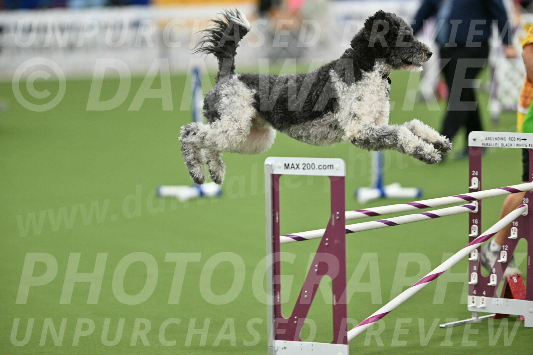 MAS-EX-STD-24-Inch_8094