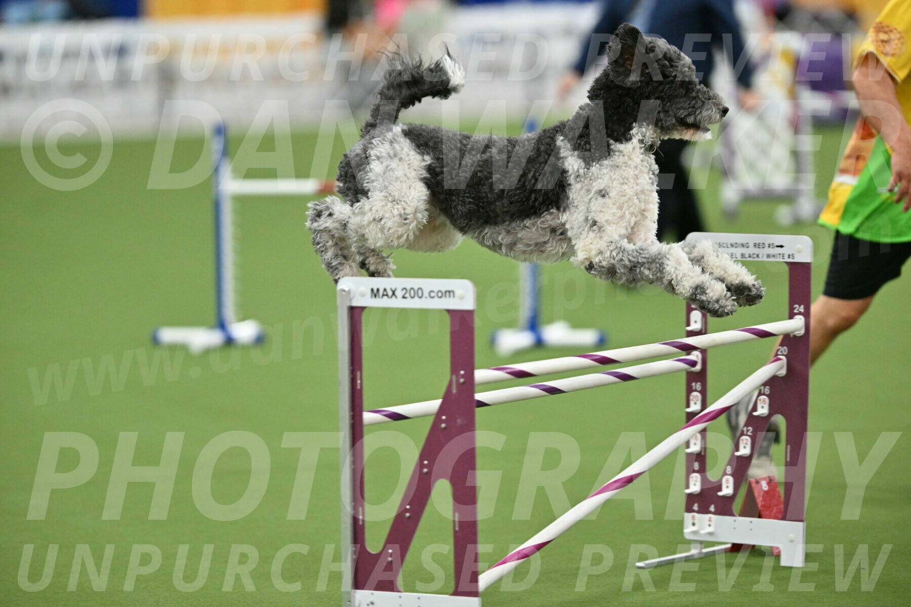 MAS-EX-STD-24-Inch_8095