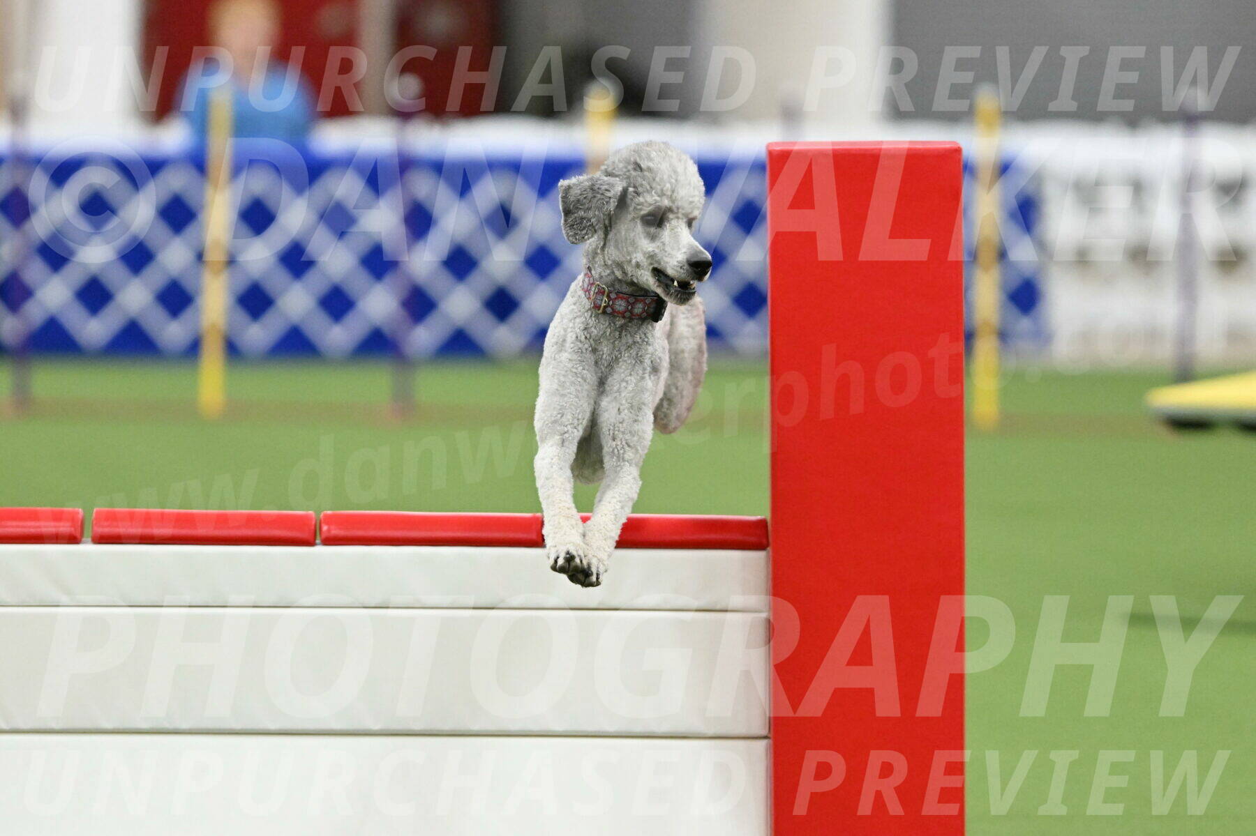 MAS-EX-STD-24-Inch_8262