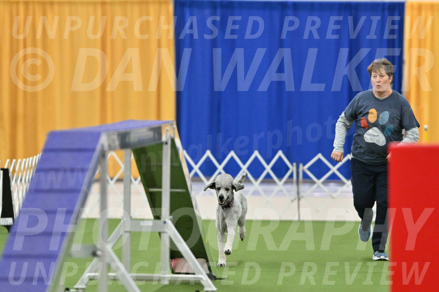 MAS-EX-STD-24-Inch_8276