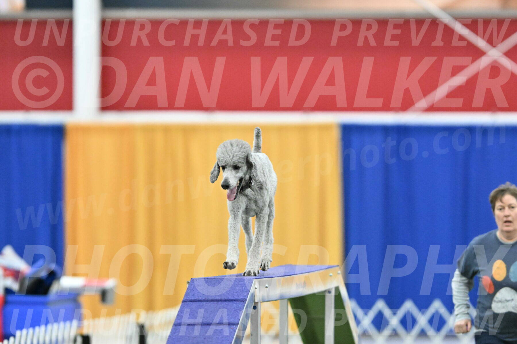 MAS-EX-STD-24-Inch_8283