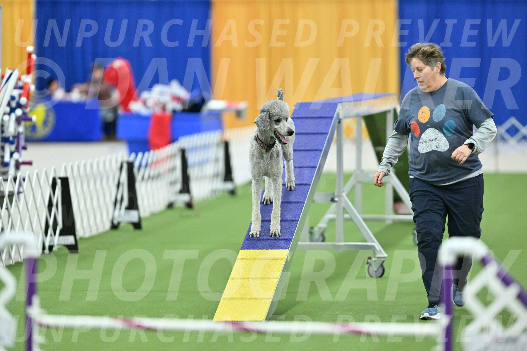 MAS-EX-STD-24-Inch_8291