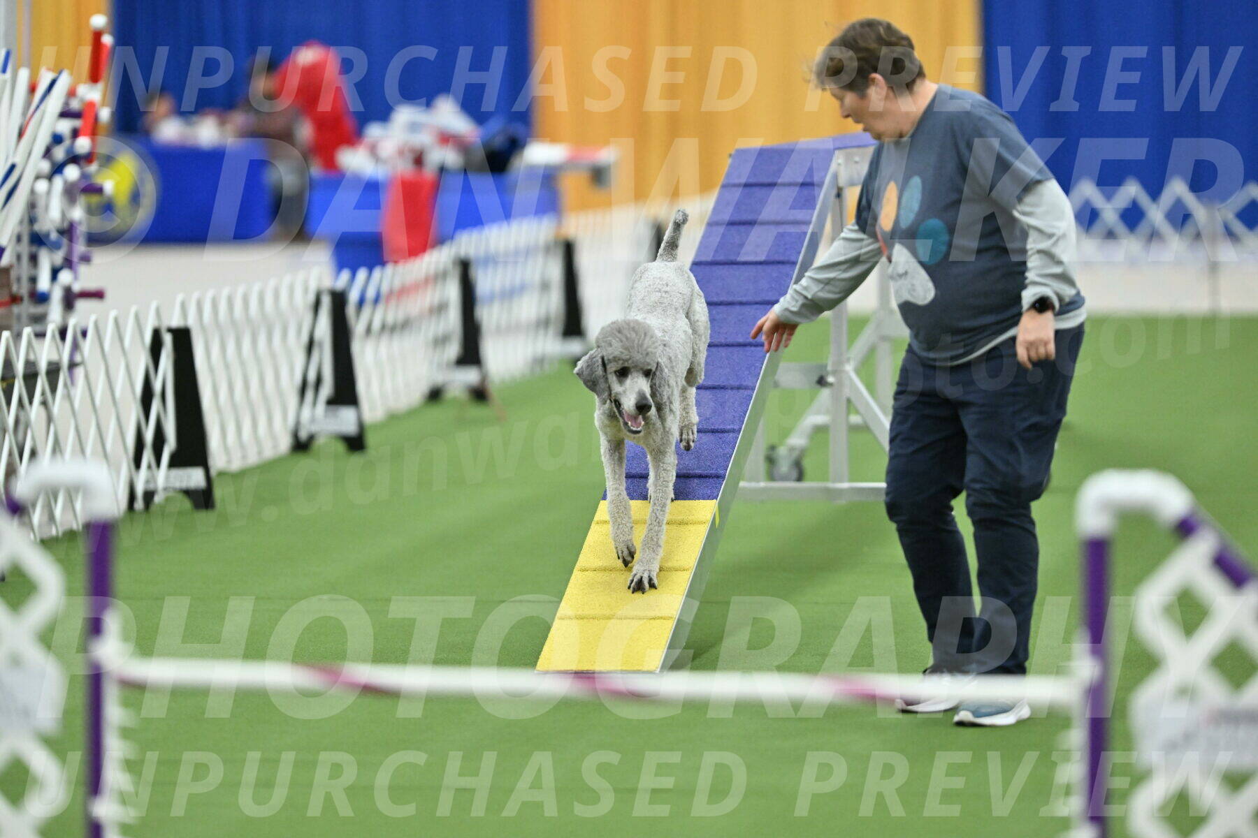 MAS-EX-STD-24-Inch_8298