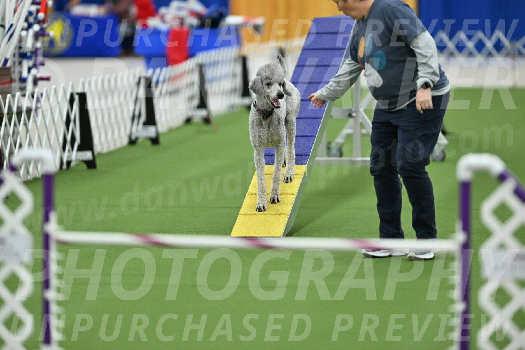 MAS-EX-STD-24-Inch_8301