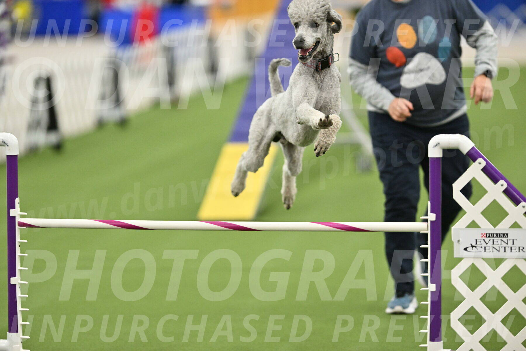 MAS-EX-STD-24-Inch_8315