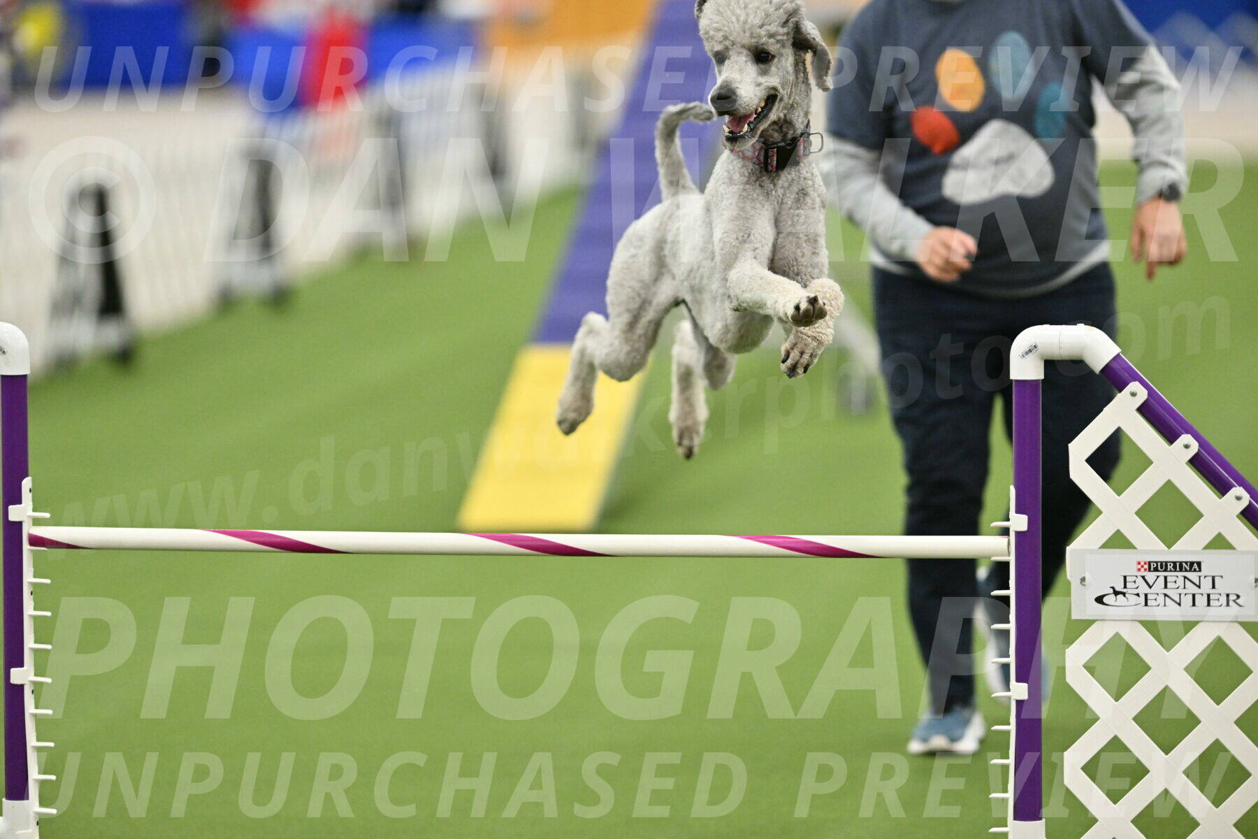 MAS-EX-STD-24-Inch_8316