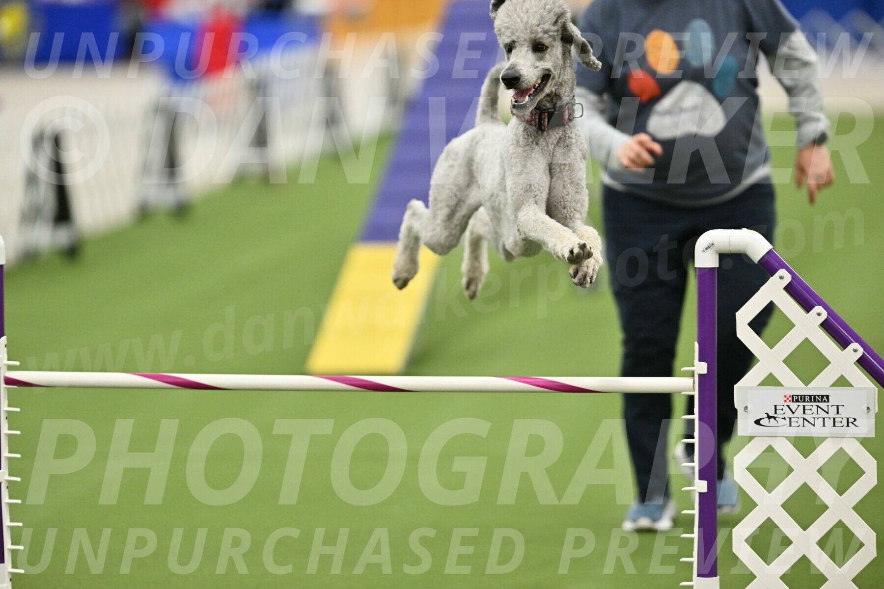 MAS-EX-STD-24-Inch_8317