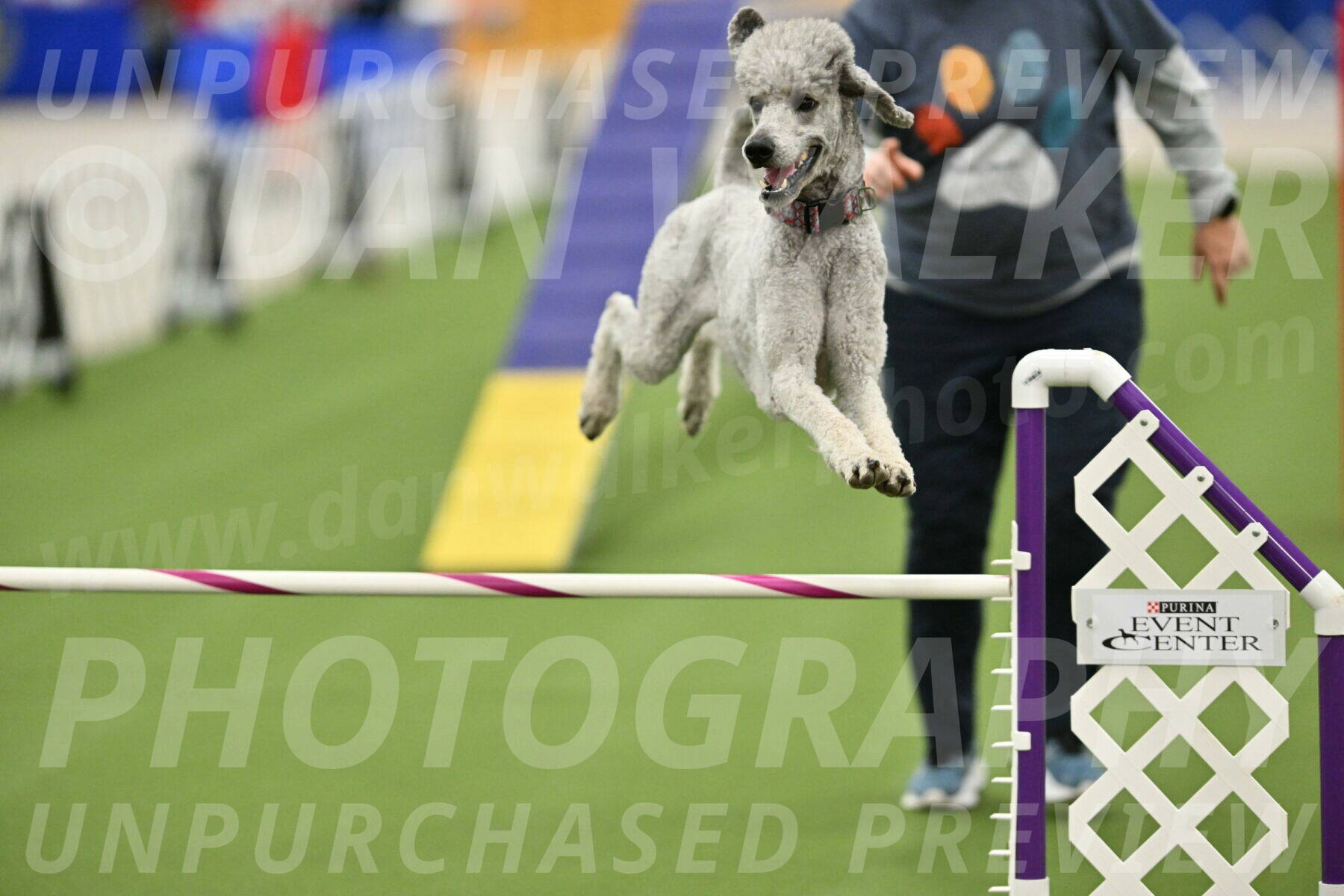 MAS-EX-STD-24-Inch_8318