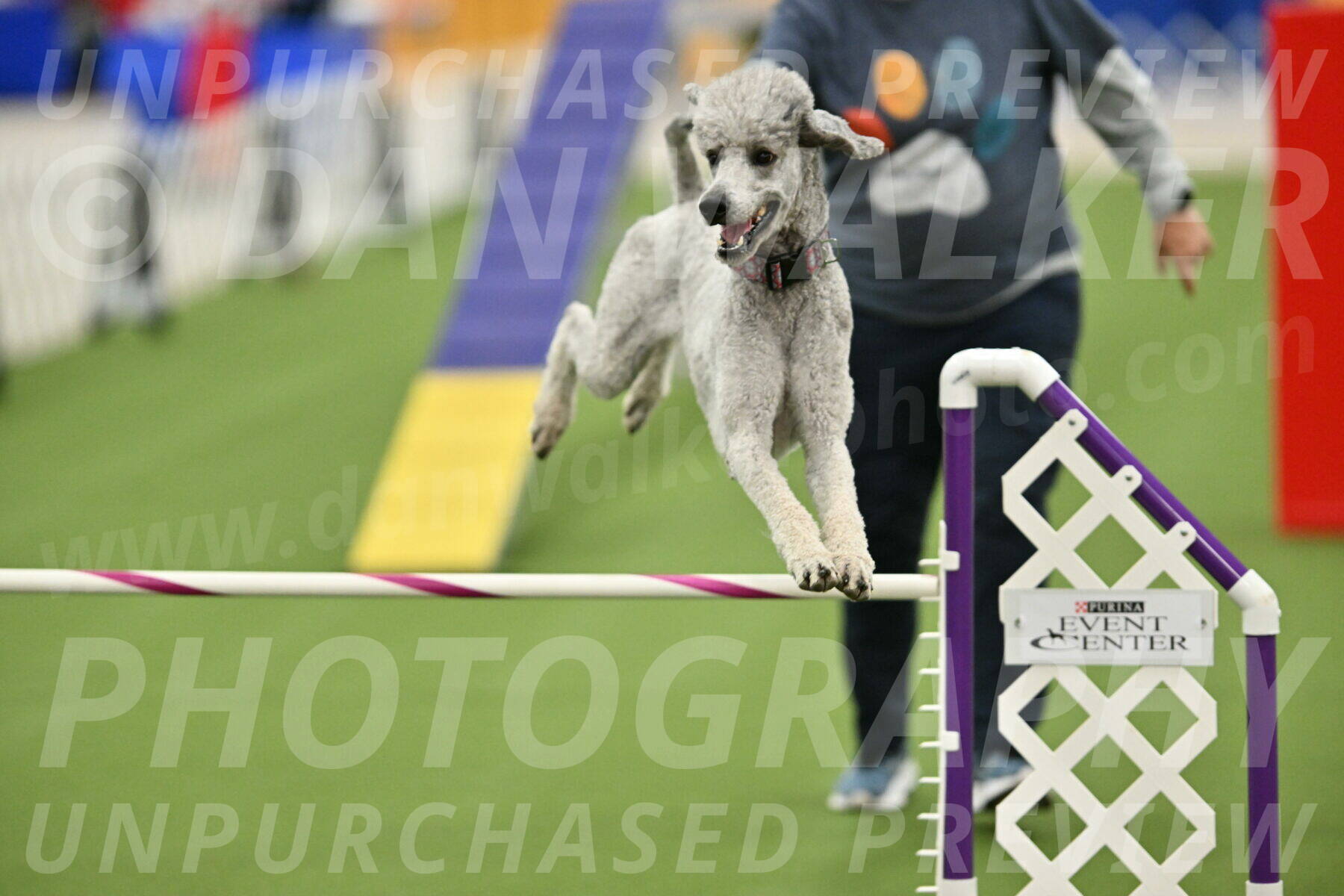 MAS-EX-STD-24-Inch_8319