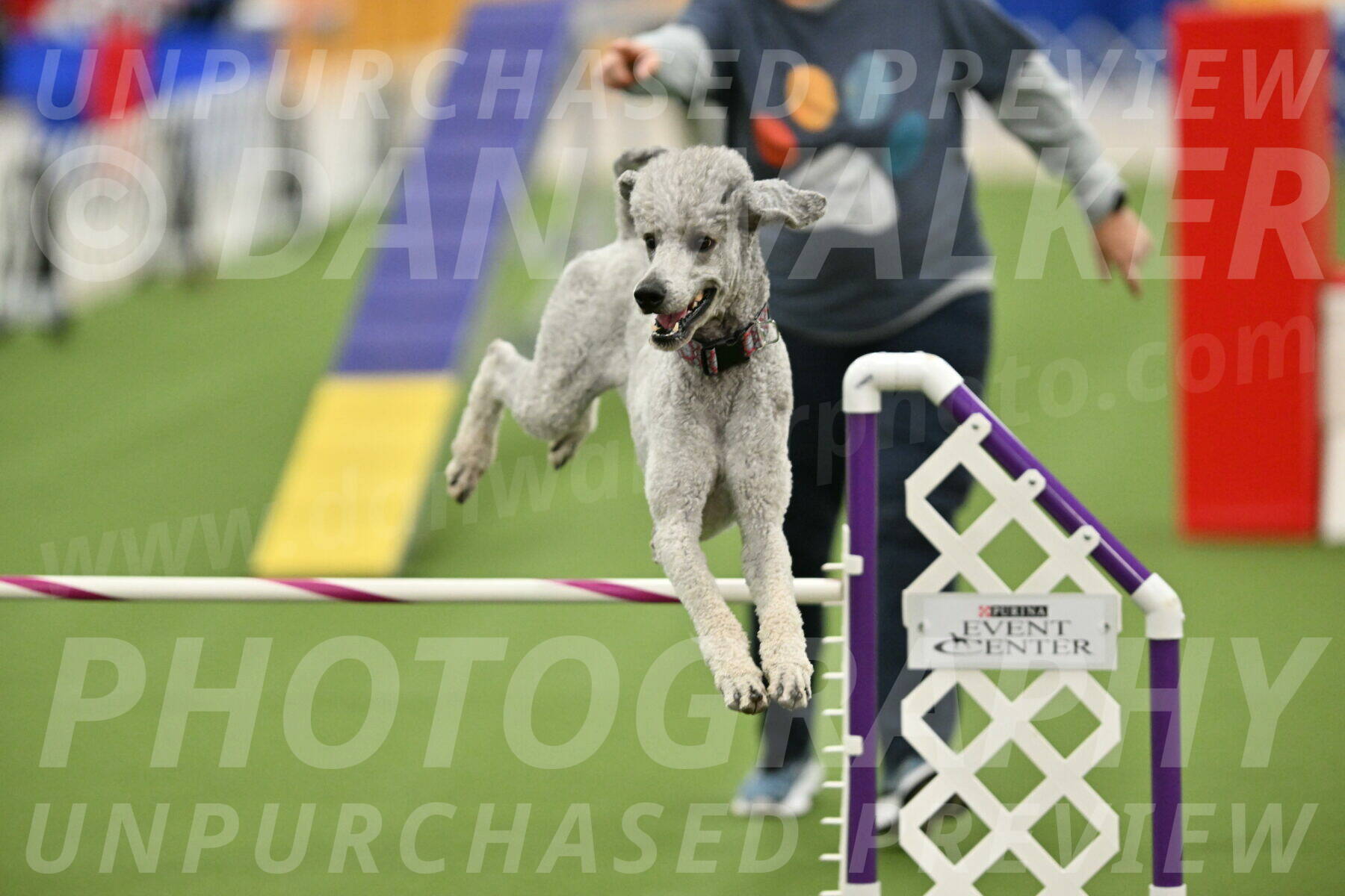 MAS-EX-STD-24-Inch_8320