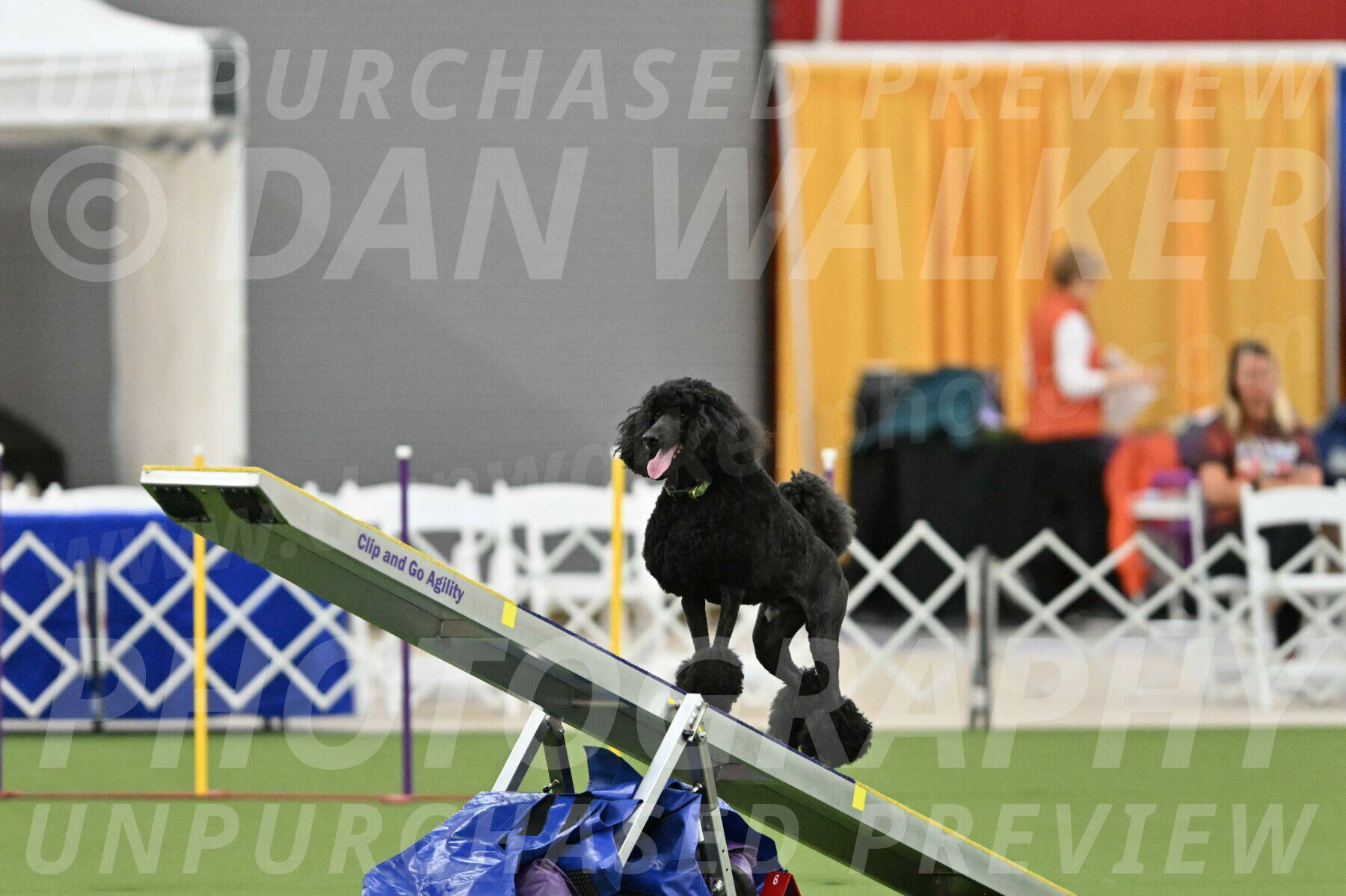 MAS-EX-STD-24-Inch_8333