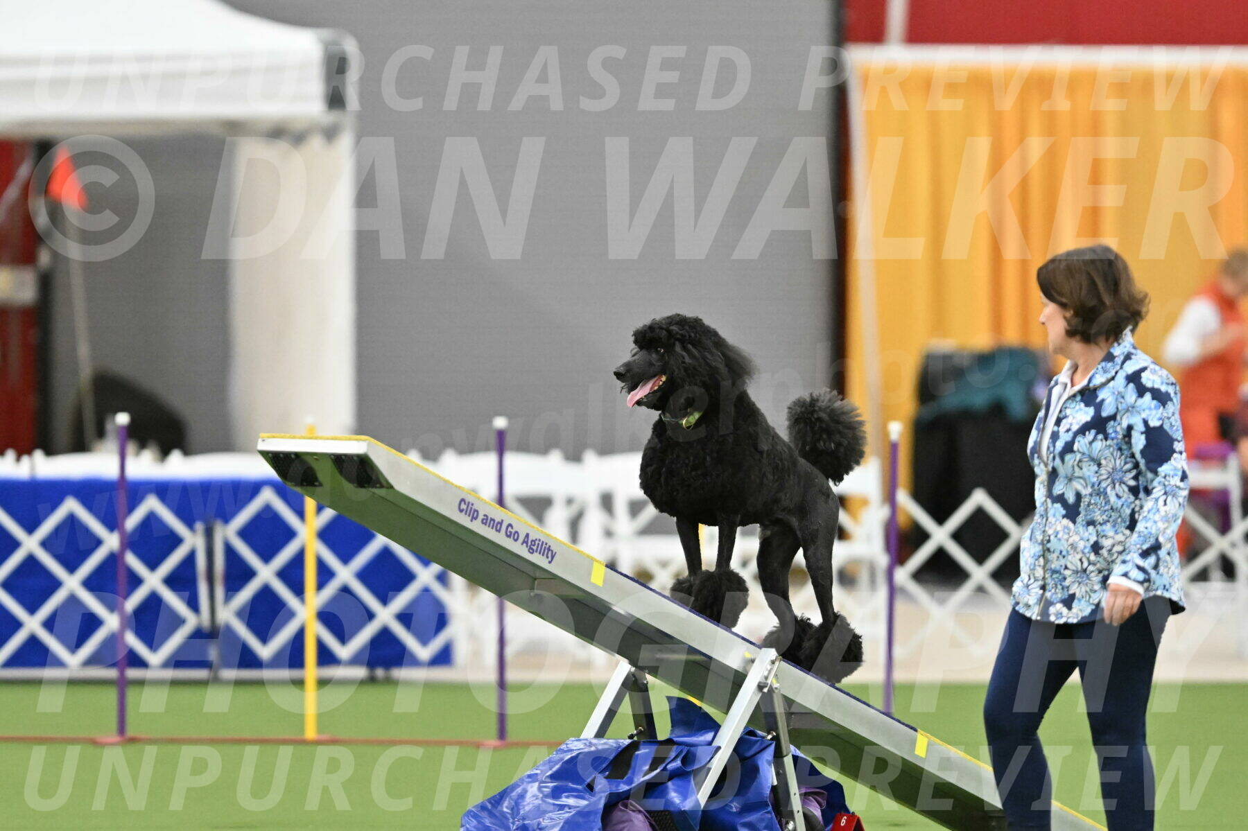 MAS-EX-STD-24-Inch_8342