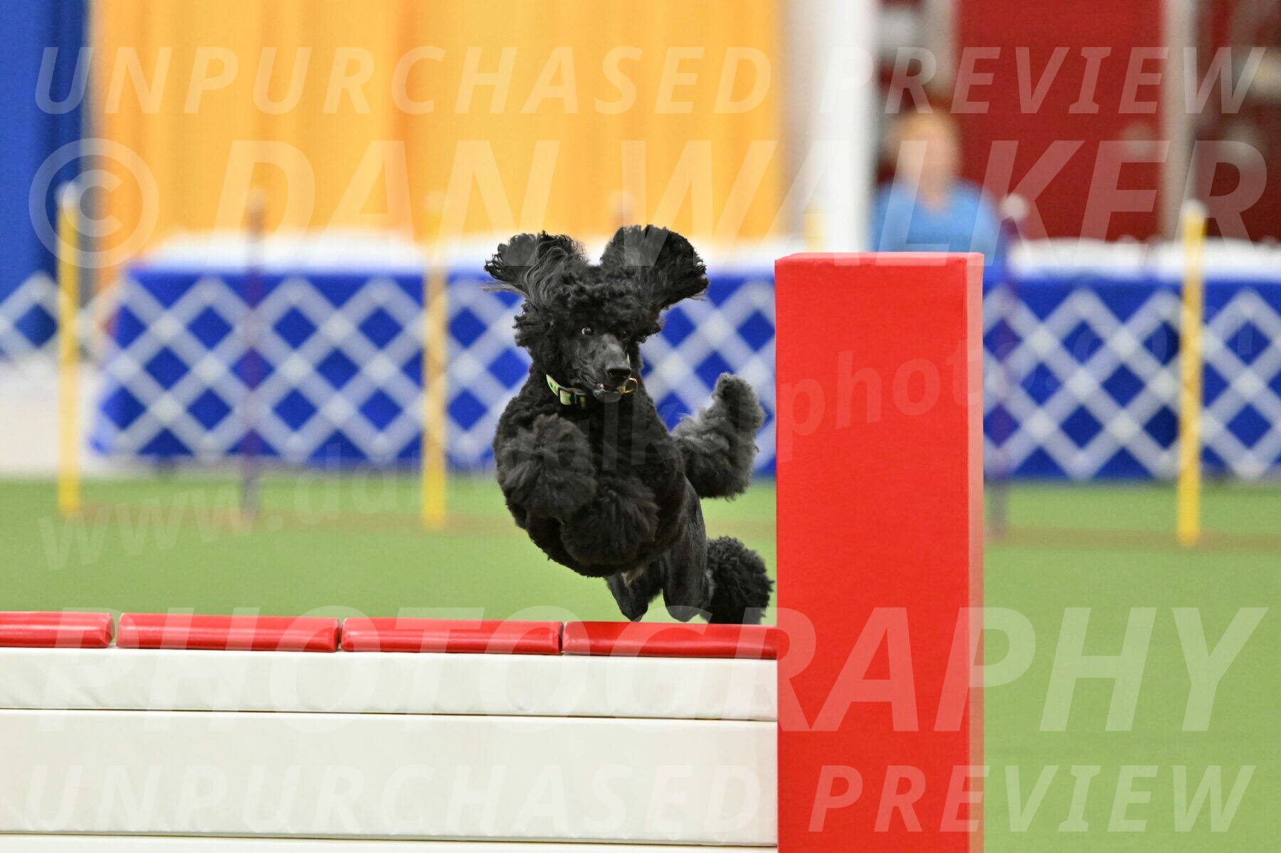 MAS-EX-STD-24-Inch_8356