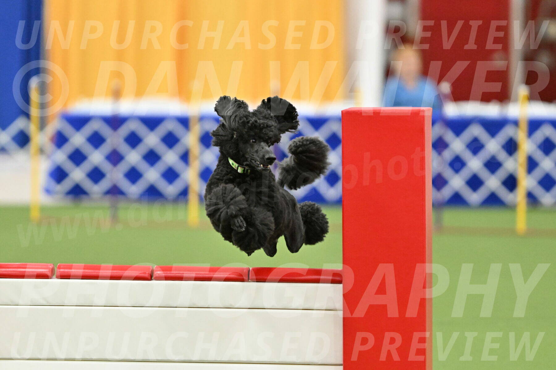 MAS-EX-STD-24-Inch_8357