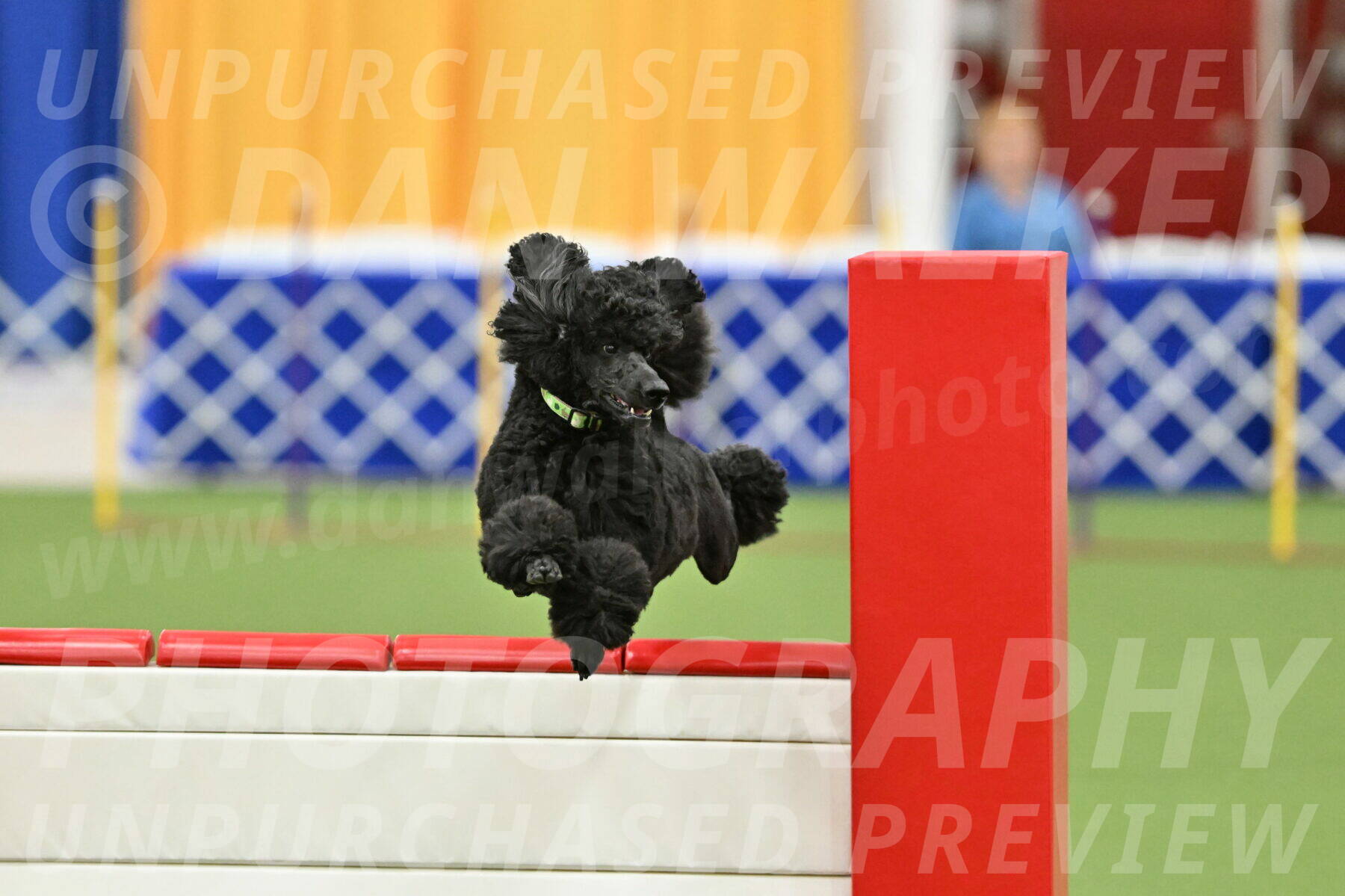 MAS-EX-STD-24-Inch_8358