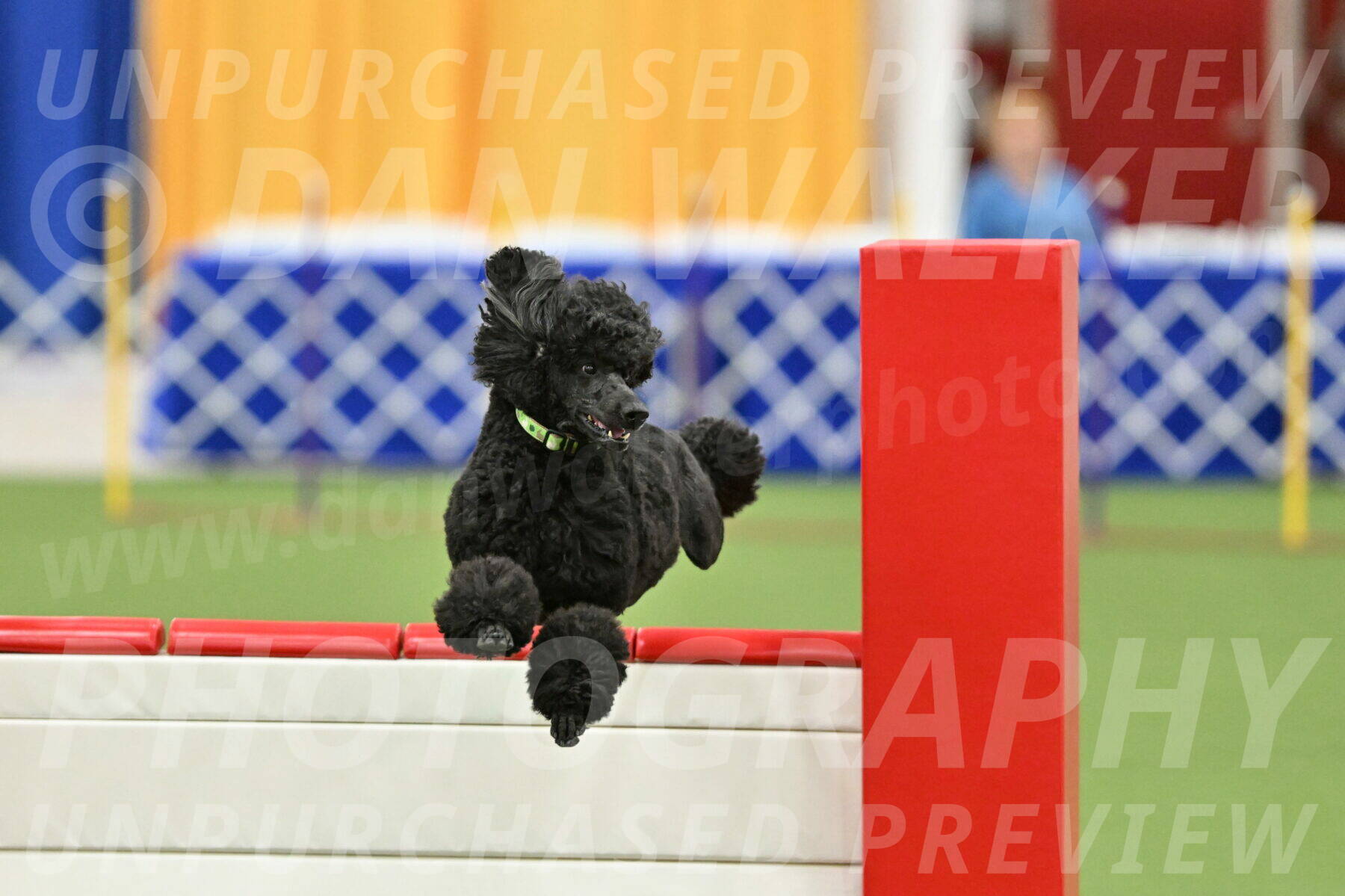 MAS-EX-STD-24-Inch_8359