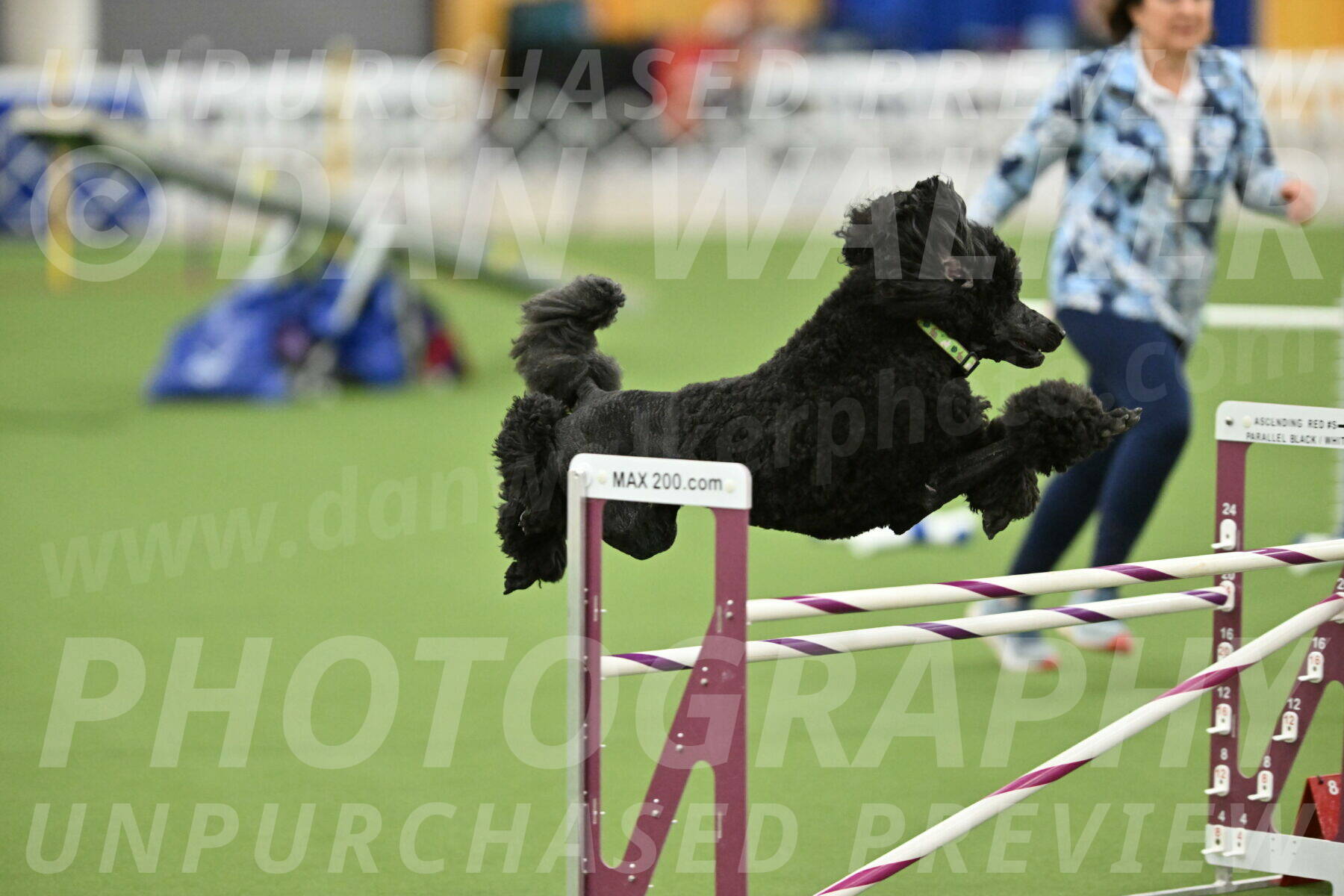 MAS-EX-STD-24-Inch_8365