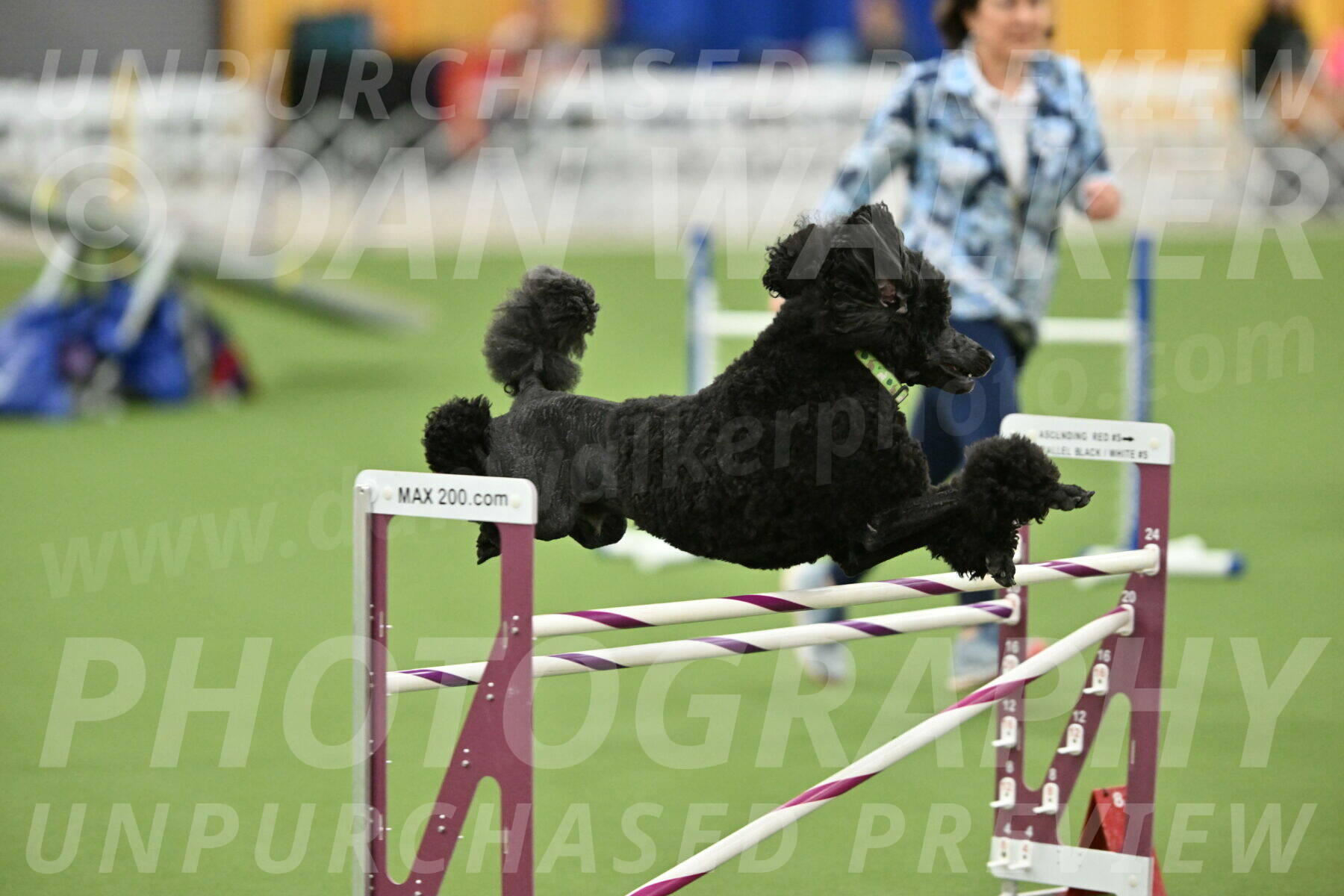 MAS-EX-STD-24-Inch_8366