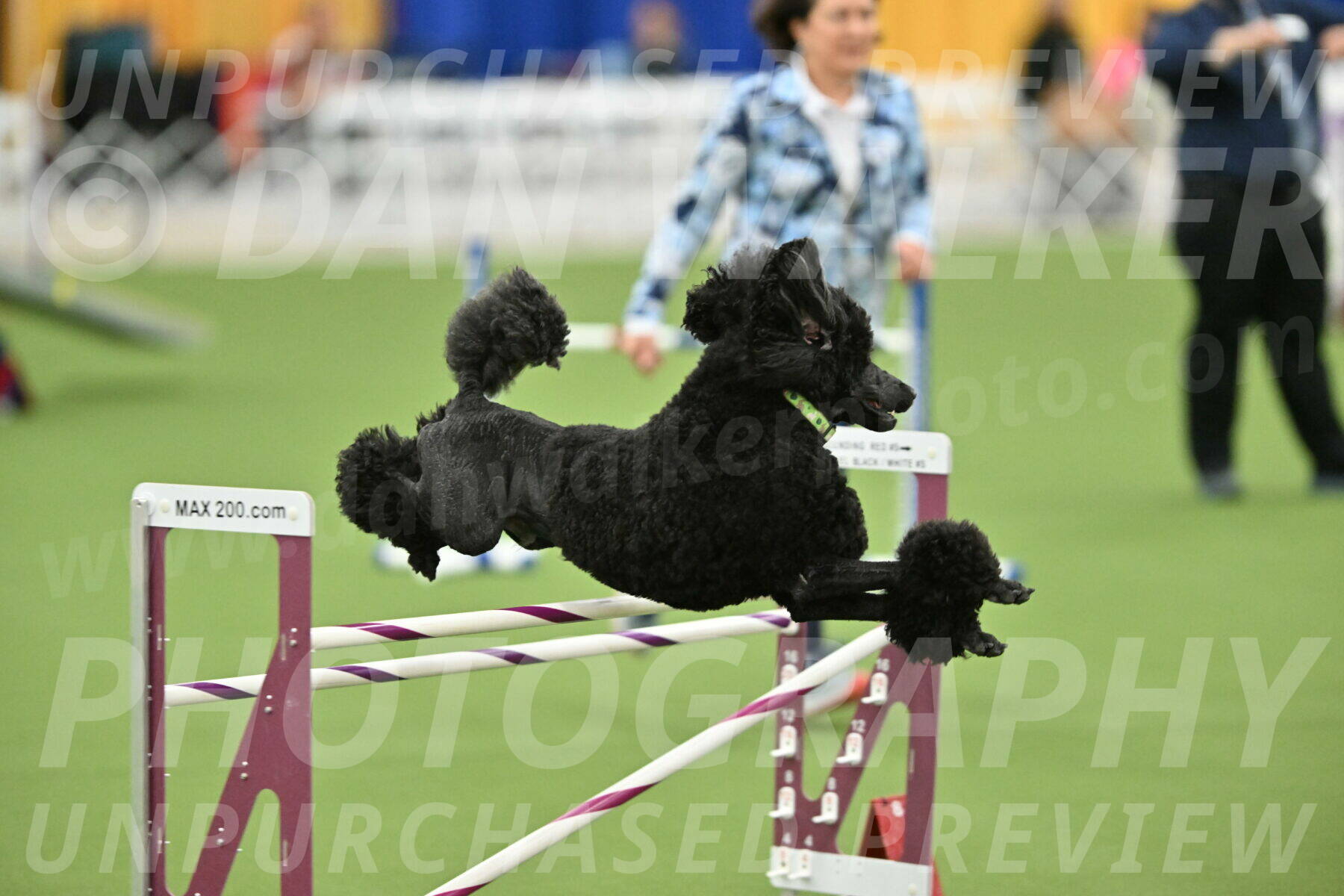 MAS-EX-STD-24-Inch_8367