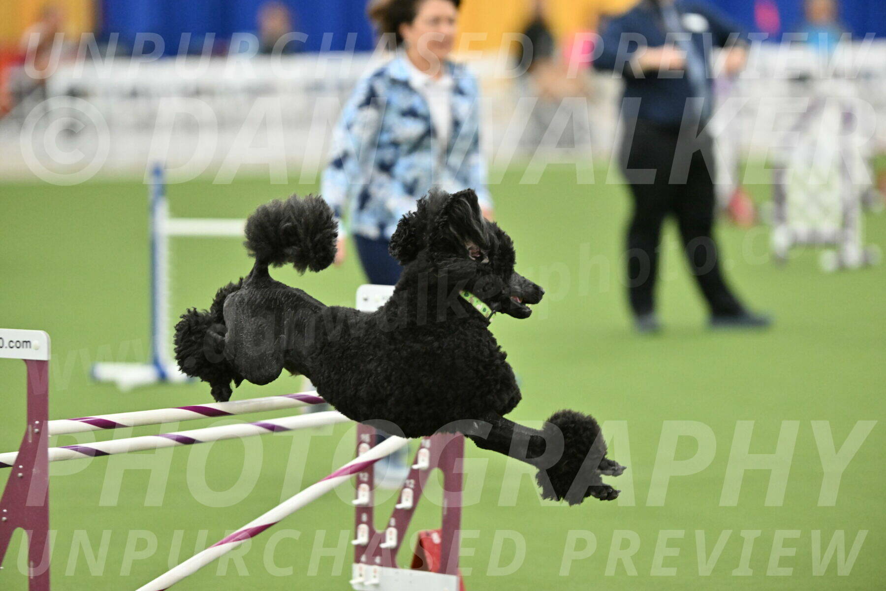 MAS-EX-STD-24-Inch_8368