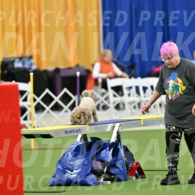 MAS-EX-STD-4-8-Inch_4462