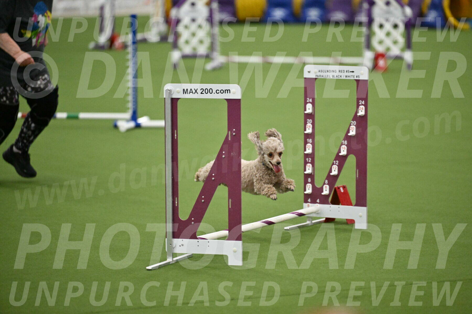 MAS-EX-STD-4-8-Inch_4471