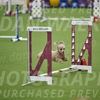 MAS-EX-STD-4-8-Inch_4471