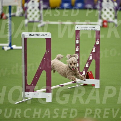 MAS-EX-STD-4-8-Inch_4472