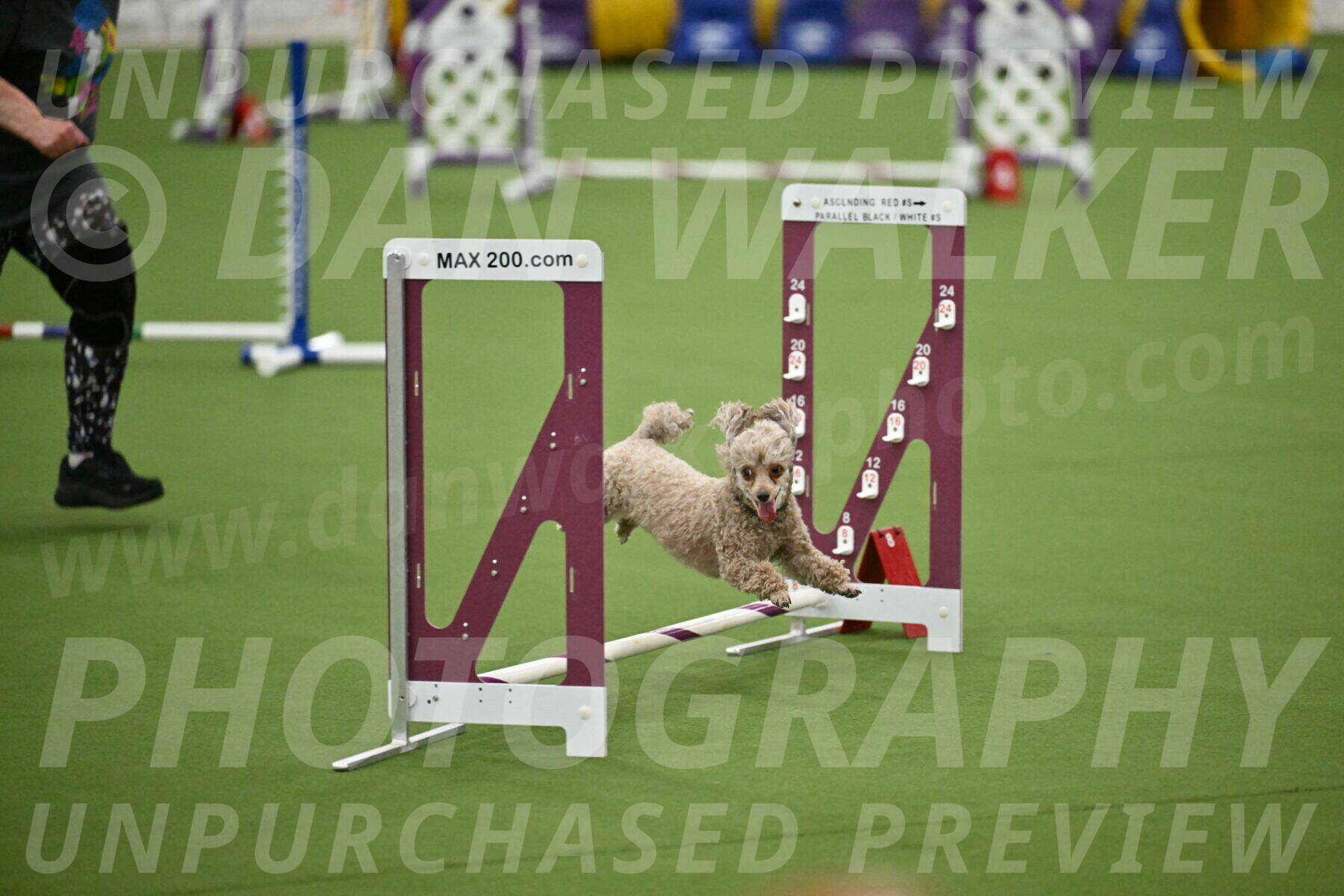 MAS-EX-STD-4-8-Inch_4472