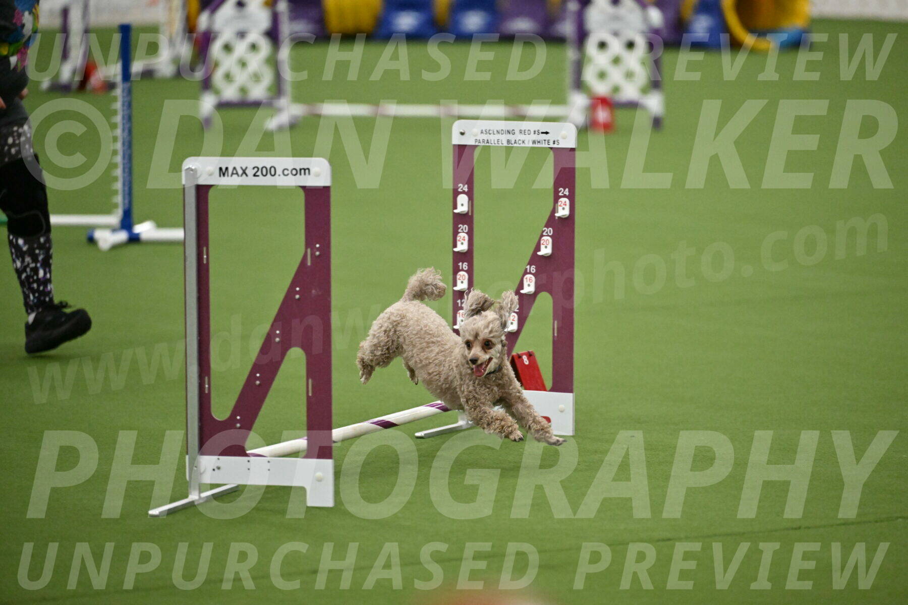 MAS-EX-STD-4-8-Inch_4473