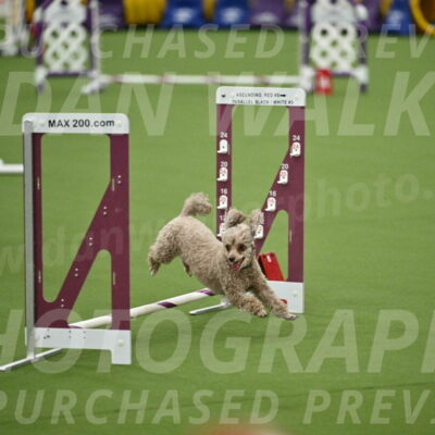 MAS-EX-STD-4-8-Inch_4473