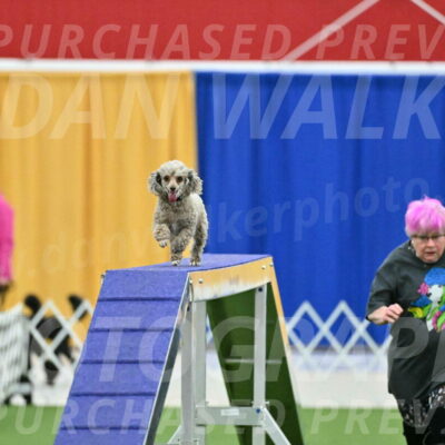 MAS-EX-STD-4-8-Inch_4480