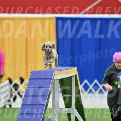 MAS-EX-STD-4-8-Inch_4481