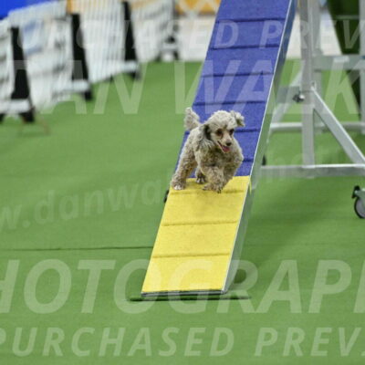 MAS-EX-STD-4-8-Inch_4492