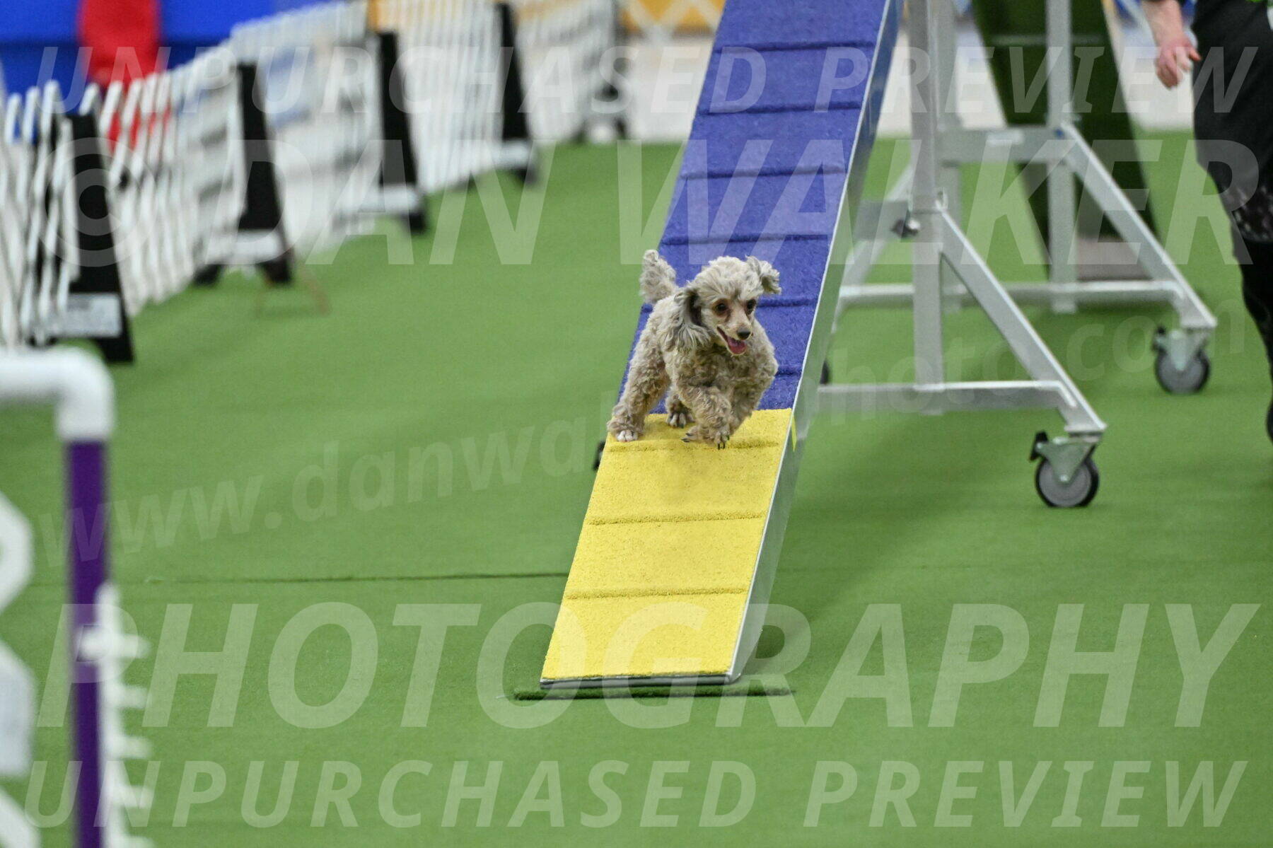 MAS-EX-STD-4-8-Inch_4492